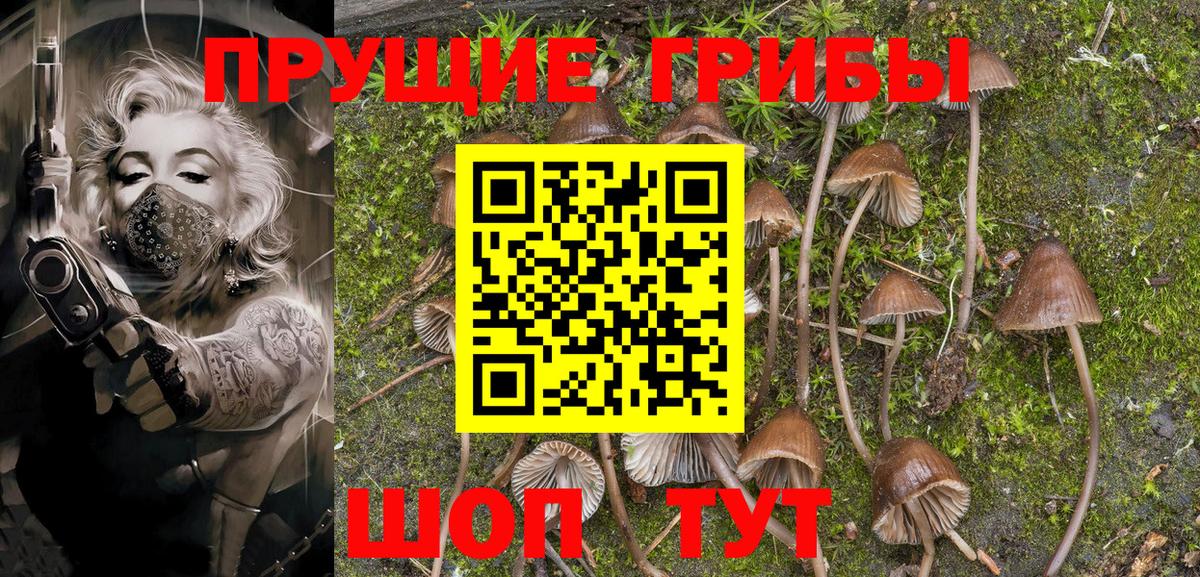 Клин  Псилоцибиновые грибы MAGIC MUSHROOMS  Вход с VPN 