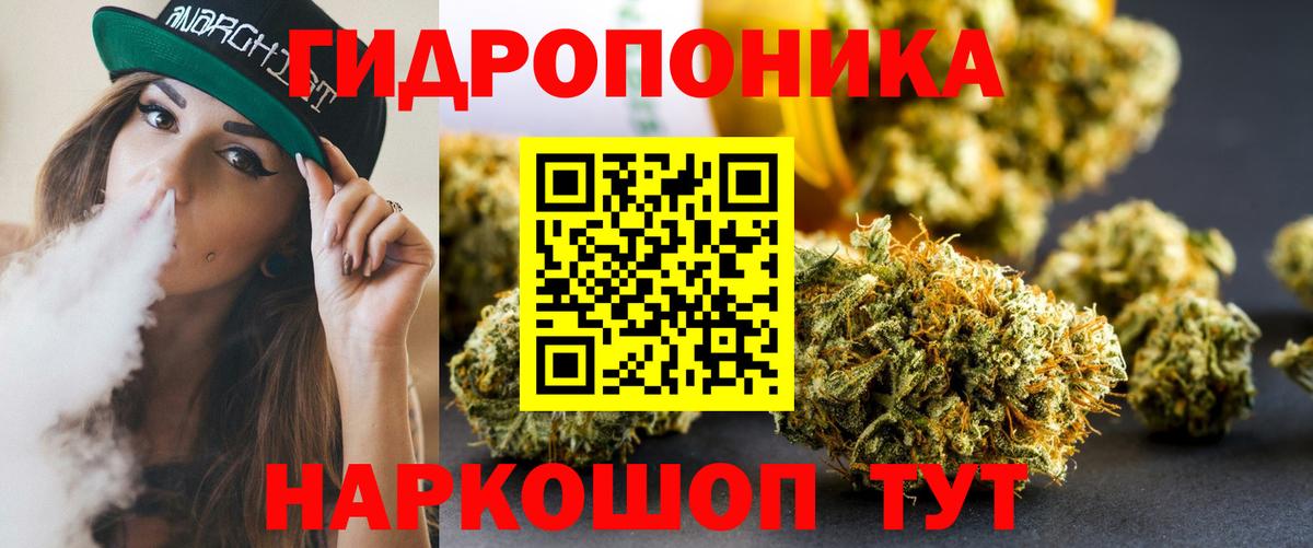 Бошки Шишки SATIVA & INDICA Клин