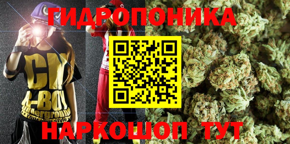 Бошки Шишки план  Каннабис THC 21%  Вход с VPN  Клин 